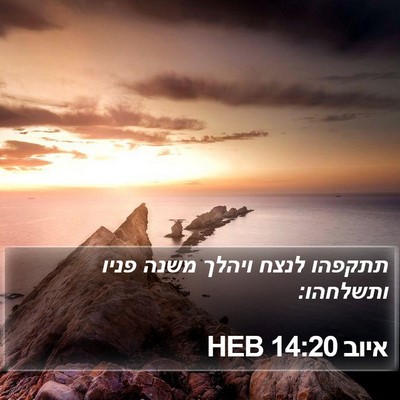 איוב 14:20 HEB Bible Verse Image