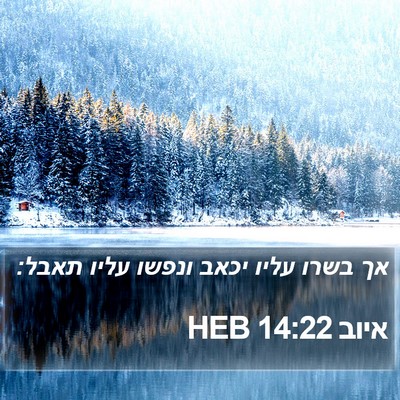 איוב 14:22 HEB Bible Verse Image