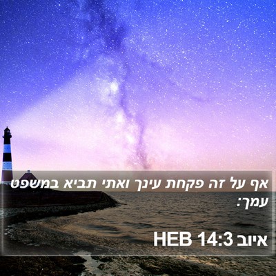 איוב 14:3 HEB Bible Verse Image