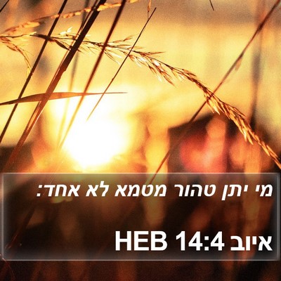 איוב 14:4 HEB Bible Verse Image