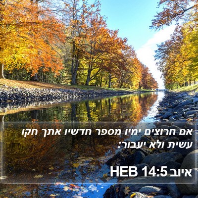 איוב 14:5 HEB Bible Verse Image