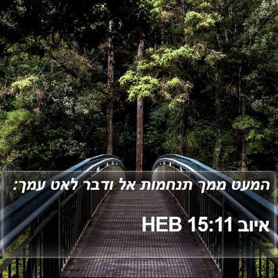 איוב 15:11 HEB Bible Verse Image