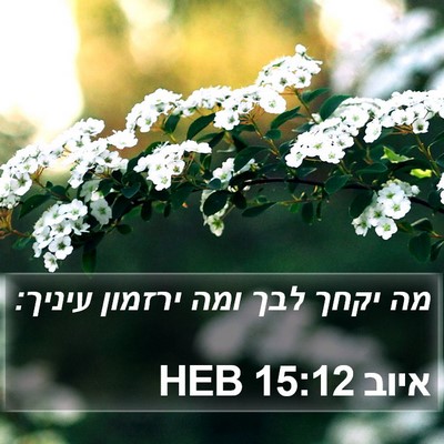 איוב 15:12 HEB Bible Verse Image