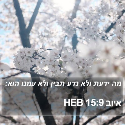 איוב 15:9 HEB Bible Verse Image