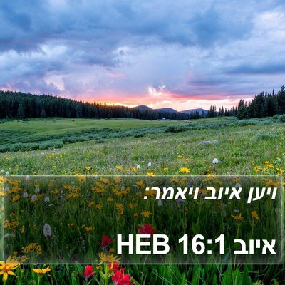 איוב 16:1 HEB Bible Verse Image