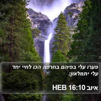 איוב 16:10 HEB Bible Verse Image