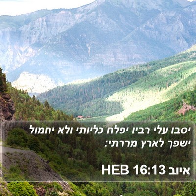 איוב 16:13 HEB Bible Verse Image