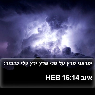 איוב 16:14 HEB Bible Verse Image