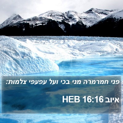 איוב 16:16 HEB Bible Verse Image