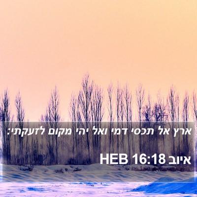 איוב 16:18 HEB Bible Verse Image