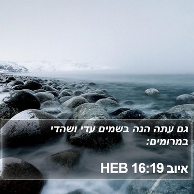 איוב 16:19 HEB Bible Verse Image