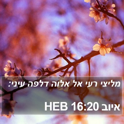 איוב 16:20 HEB Bible Verse Image