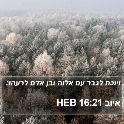 איוב 16:21 HEB Bible Verse Image