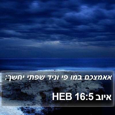 איוב 16:5 HEB Bible Verse Image