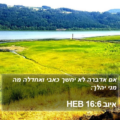 איוב 16:6 HEB Bible Verse Image