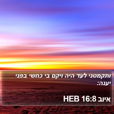 איוב 16:8 HEB Bible Verse Image
