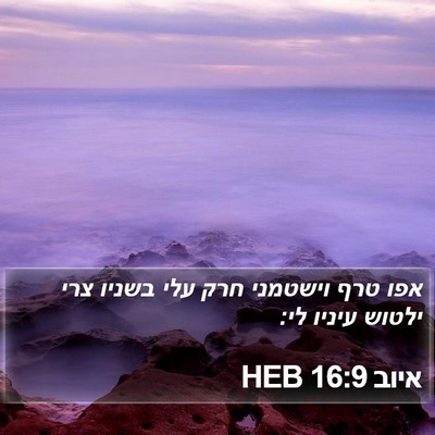 איוב 16:9 HEB Bible Verse Image
