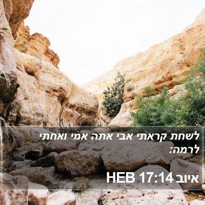 איוב 17:14 HEB Bible Verse Image