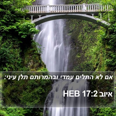 איוב 17:2 HEB Bible Verse Image