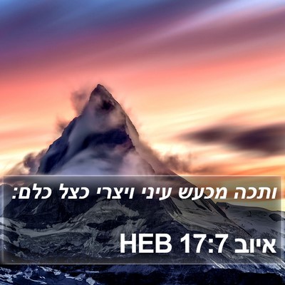 איוב 17:7 HEB Bible Verse Image