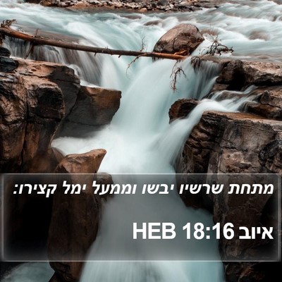 איוב 18:16 HEB Bible Verse Image