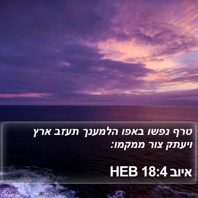 איוב 18:4 HEB Bible Verse Image