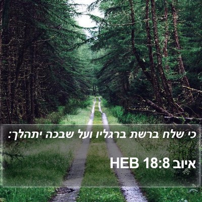 איוב 18:8 HEB Bible Verse Image