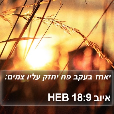 איוב 18:9 HEB Bible Verse Image