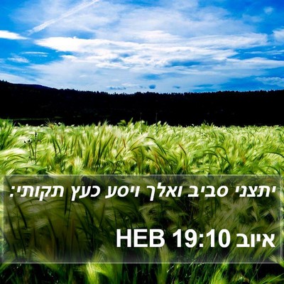 איוב 19:10 HEB Bible Verse Image
