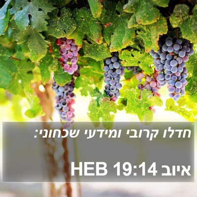 איוב 19:14 HEB Bible Verse Image