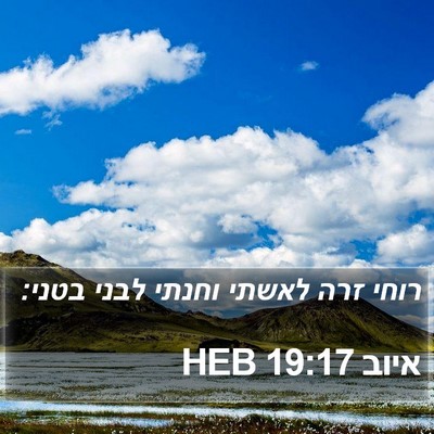 איוב 19:17 HEB Bible Verse Image