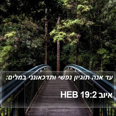 איוב 19:2 HEB Bible Verse Image