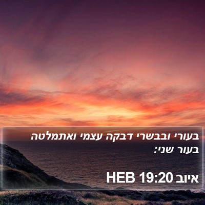 איוב 19:20 HEB Bible Verse Image