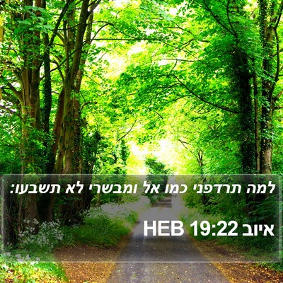 איוב 19:22 HEB Bible Verse Image