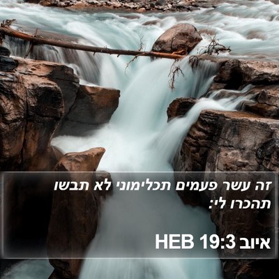 איוב 19:3 HEB Bible Verse Image