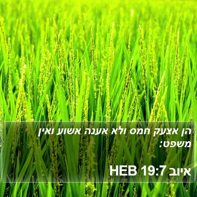 איוב 19:7 HEB Bible Verse Image