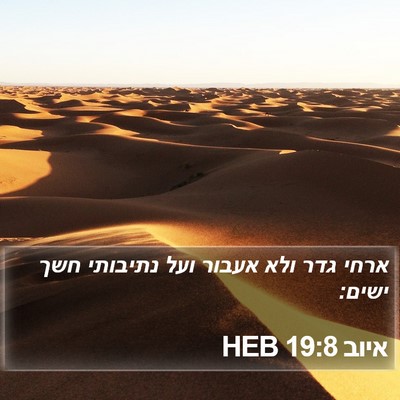 איוב 19:8 HEB Bible Verse Image