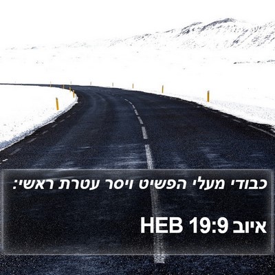 איוב 19:9 HEB Bible Verse Image