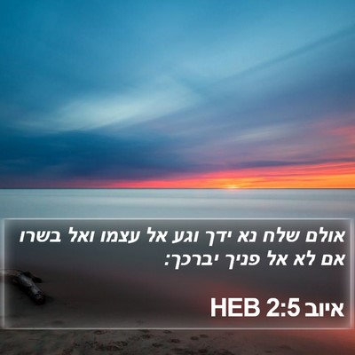 איוב 2:5 HEB Bible Verse Image