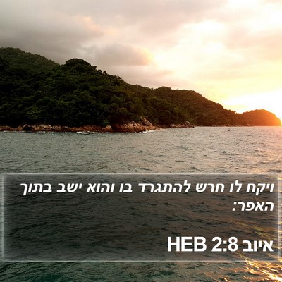איוב 2:8 HEB Bible Verse Image