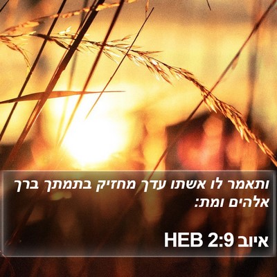איוב 2:9 HEB Bible Verse Image