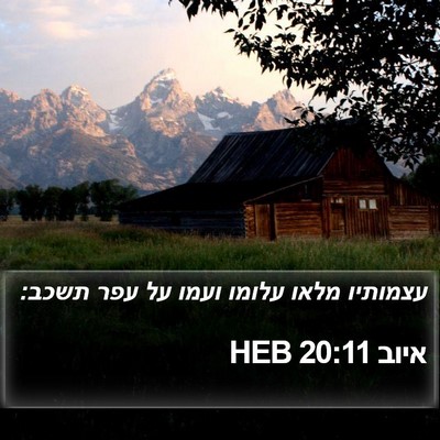 איוב 20:11 HEB Bible Verse Image