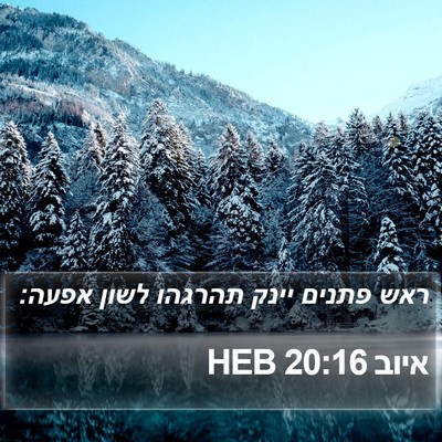 איוב 20:16 HEB Bible Verse Image