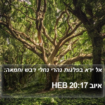 איוב 20:17 HEB Bible Verse Image