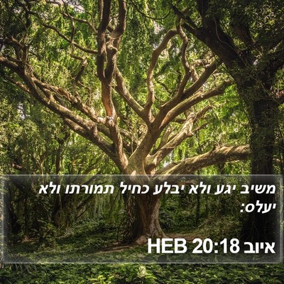 איוב 20:18 HEB Bible Verse Image