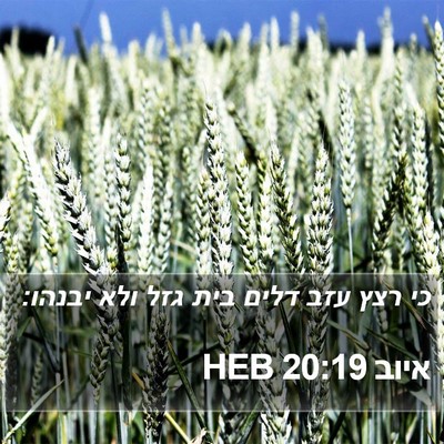 איוב 20:19 HEB Bible Verse Image