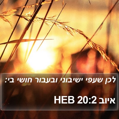איוב 20:2 HEB Bible Verse Image