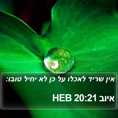 איוב 20:21 HEB Bible Verse Image