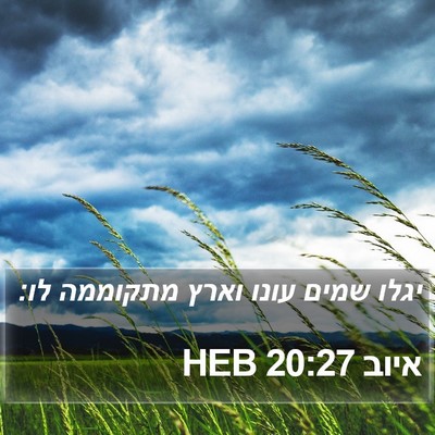 איוב 20:27 HEB Bible Verse Image
