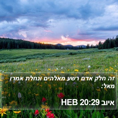 איוב 20:29 HEB Bible Verse Image
